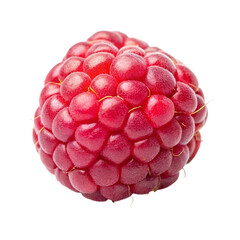 A fresh raspberry. isolated on transparent background.