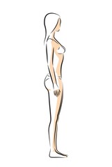 Woman body. Full-length girl standing portrait. Set of body-positive female. Different posing figures.  Fashion silhouette outline line illustration