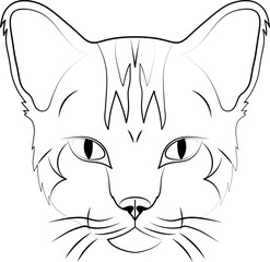 cat abstract lines on a white background vector