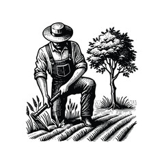 vector design and Ornaments design vector 