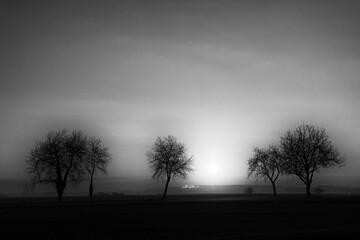 Foggy morning in the The plain of Bière. Perthes village