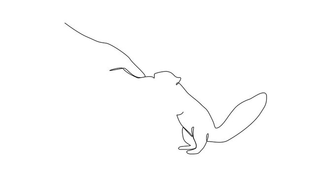 Animated self drawing of the people is play with their pet by hugging and carrying it as video illustration. Playing with squirrel activity illustration in simple linear style video design concept.