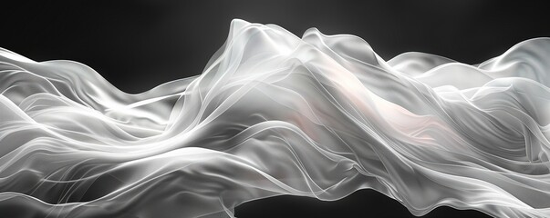 a black and white abstract background with smooth lines
