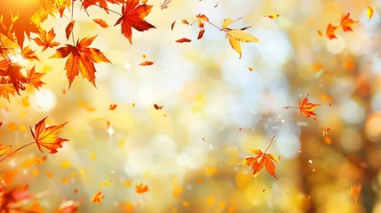 Foto op Canvas orange fall leaves autumn natural background © GarlicDesign