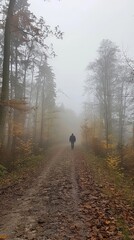 Walk in the fresh air in the autumn misty forest