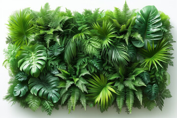 A green wall of plants with a large leafy green plant in the center