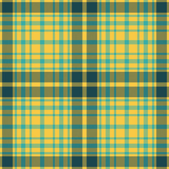 Plaid seamless pattern. Check fabric texture. Vector textile print.