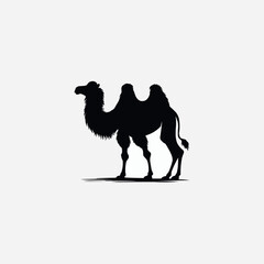 Camel icon graphic element Illustration template design