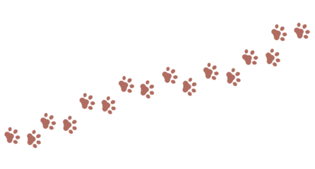 Fotobehang 動物の足跡　肉球　茶色　シルエット　ライン　歩く　シンプル　飾り　猫　犬　斜め　白背景　透過 © あんもち