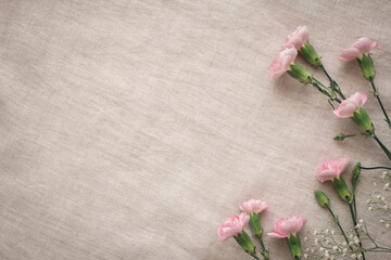 Pink carnations and white hazel frames on a gray fabric background placed in a slightly darker amber colored light