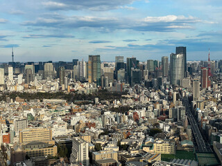 Obraz premium Tokyo City skyline, with Tokyo tower and Tokyo Skytree view