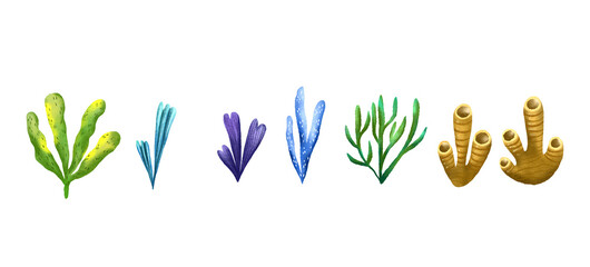 Obraz premium Set of sea colored algae and corals. Underwater flora. Hand drawn illustration on isolated background