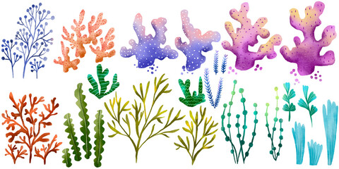 Marine set with algae and corals. Children's hand drawn illustration on isolated background - obrazy, fototapety, plakaty
