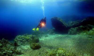 Fototapeta na wymiar a diver on a reef in the caribbean sea