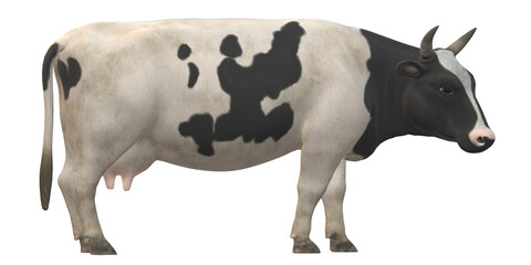Cow isolated on a Transparent Background