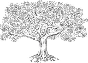 Genealogical family tree. Vector illustration isolated on white background. 
