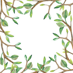 frame wreath of branches watercolor png