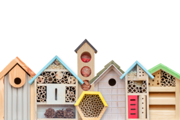Row of colorful new bird houses, feeders and insect hotels