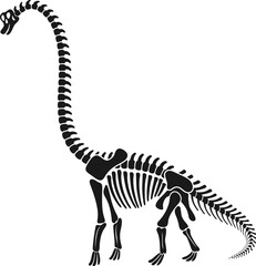 Isolated brachiosaurus dinosaur skeleton fossil, dino bones black vector silhouette, reveals majestic neck and limbs. Ancient prehistoric giant icon for educational and paleontology-themed designs