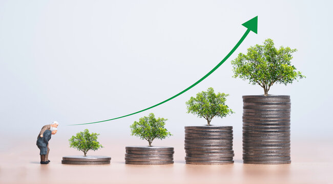Couple of old man and woman standing with coins stacking and growing trees for money saving to get interest and dividend from investment, retirement concept.