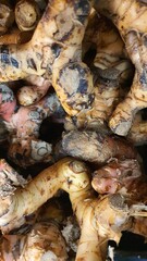 Close up pile of tasty fresh galangal sold at the market as a background.