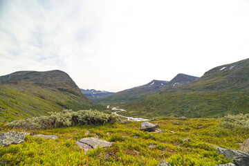 Fototapeta premium A beautiful summer landscape of Sarek National Park with river. Wild scenery of Northern Europe.