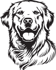 illustration of a cute golden retriever dog