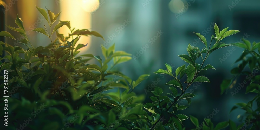 Poster close-up of a plant with a building in the background. suitable for nature and urban themes
