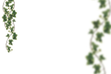 Obraz premium Floral Branch isolated on transparent background. Orchid, apple, wisteria, sakura, magnolia, cherry mimosa. Flower png of isolated cutout. Frame postcard invitation