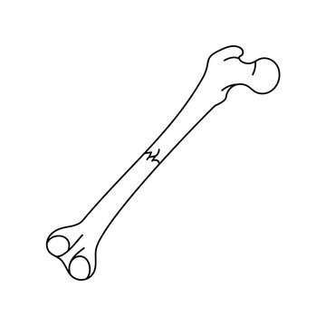 Transverse bone fracture line icon.