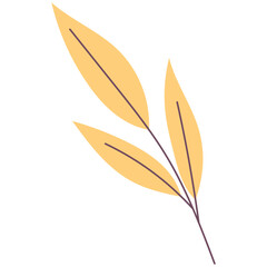 Leaf plant element for beautiful design. Simple form. Vector drawing.