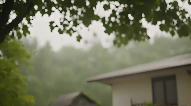 blurred rainy atmosphere, water drops from trees, house roof background