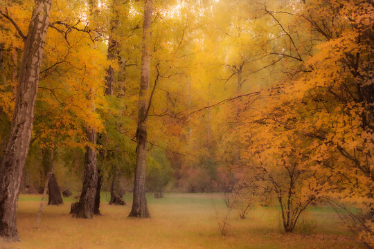Autumn park image as picture in blur