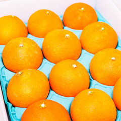 贈答用 の 箱入り みかん 【 柑橘類 の ふるさと納税 の イメージ 】
