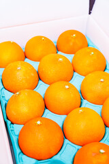 贈答用 の 箱入り みかん 【 柑橘類 の ふるさと納税 の イメージ 】