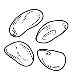 Handful of cocoa beans, hand drawn outline black and white drawing
