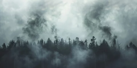  Misty forest landscape, perfect for nature backgrounds © Fotograf