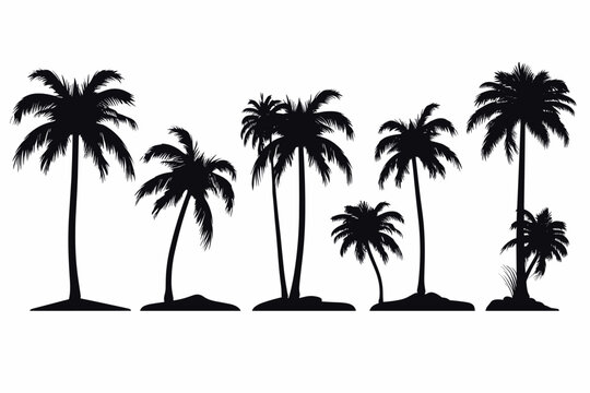 A set of detailed palm and coconut tree silhouette illustrations