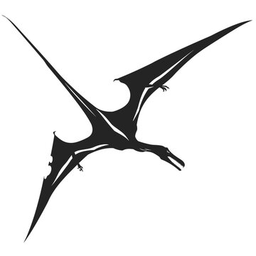 Silhouette of a flying pterodactyl. Vector illustration
