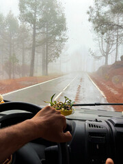 Travel lifestyle concept. One man hand on steering wheel driving on scenic road in the nature with...