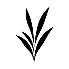 black vector blade grass icon on white background