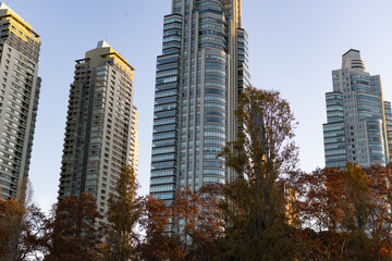 Modern Residential Skyscrapers and Colorful Trees in Puerto Madero of Buenos Aires Argentina during Autumn
