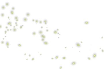 Magic firefly png, Gold fireflies png, Light effect, Mystical, lightning bug png, Photoshop photo overlays 