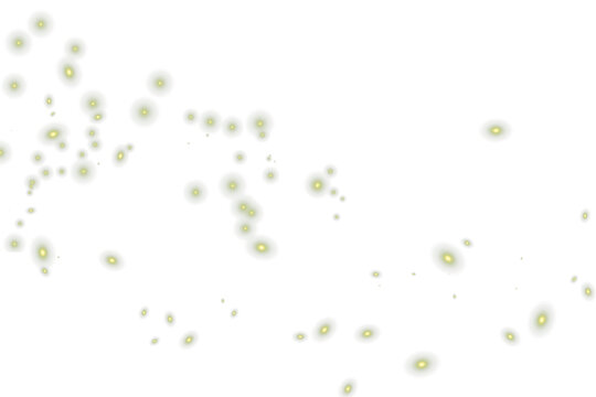 Magic firefly png, Gold fireflies png, Light effect, Mystical, lightning bug png, Photoshop photo overlays 