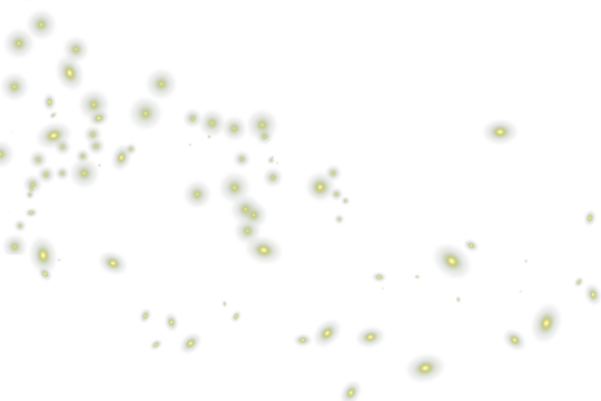 Magic firefly png, Gold fireflies png, Light effect, Mystical, lightning bug png, Photoshop photo overlays 