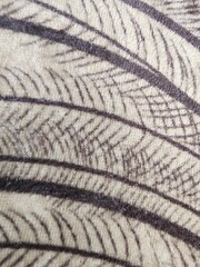 close up of a rope on the beach