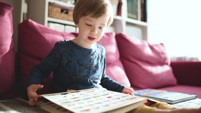 Cute toddler boy reading books on the sofa at home on a bright sunny afternoon. Daytime care creative activity. Kids having fun. Educational learning games. Family leisure indoor.