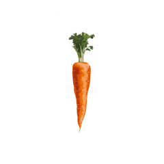 Carrot vegetable with leaves isolated on white background cutout Generative ai