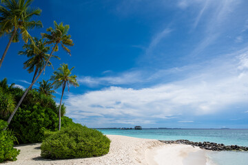beautiful beach on the maldives