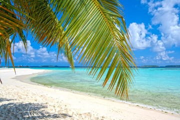 Fototapeta na wymiar beautiful beach on the maldives